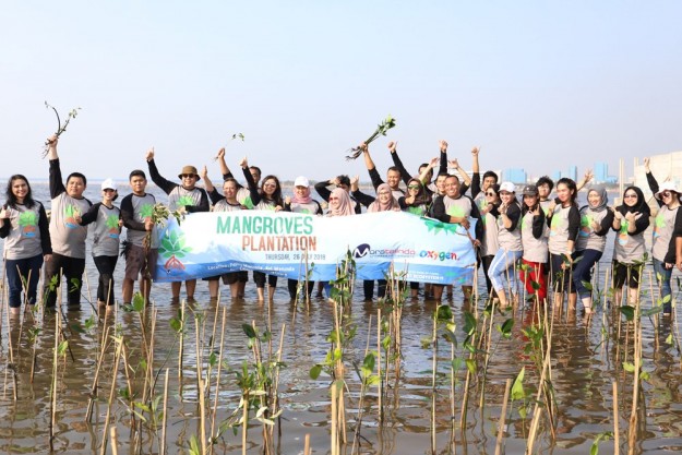 Tanam Bibit Mangrove
