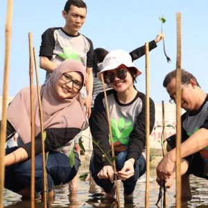 Tanam Bibit Mangrove